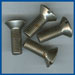Open Car Stanchion Screws