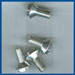 Open Car Stanchion screws