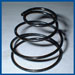 Escutcheon Spring