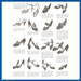 MARC Fashion Events Guidelines & Womens's Footwear and Accessories
